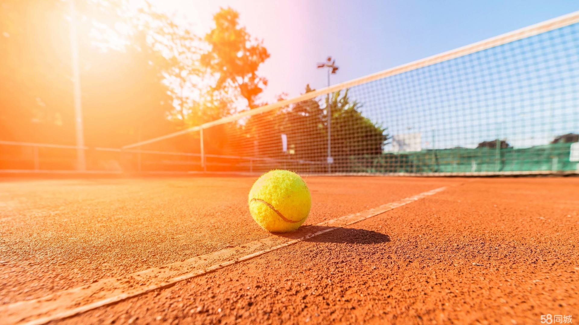 这笔款项的 这笔款项的