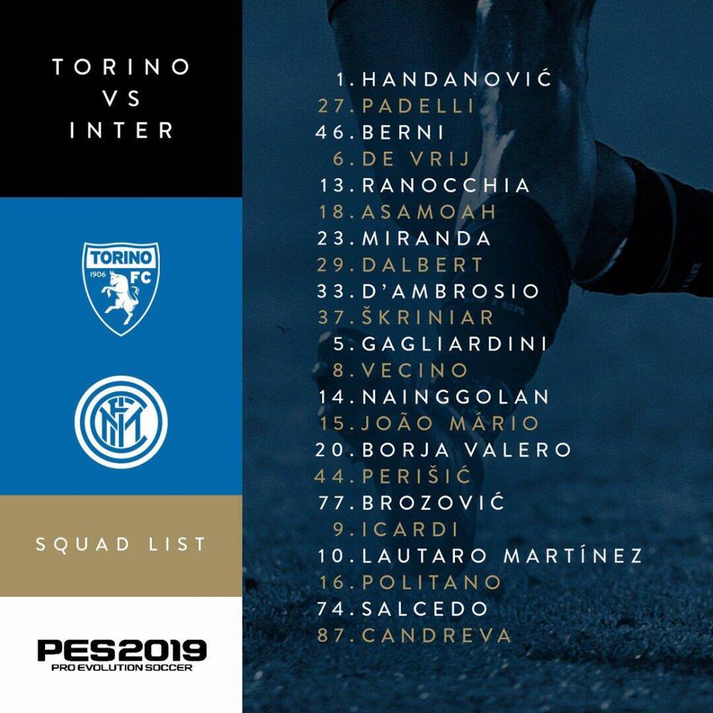 能在激烈的 能在激烈的