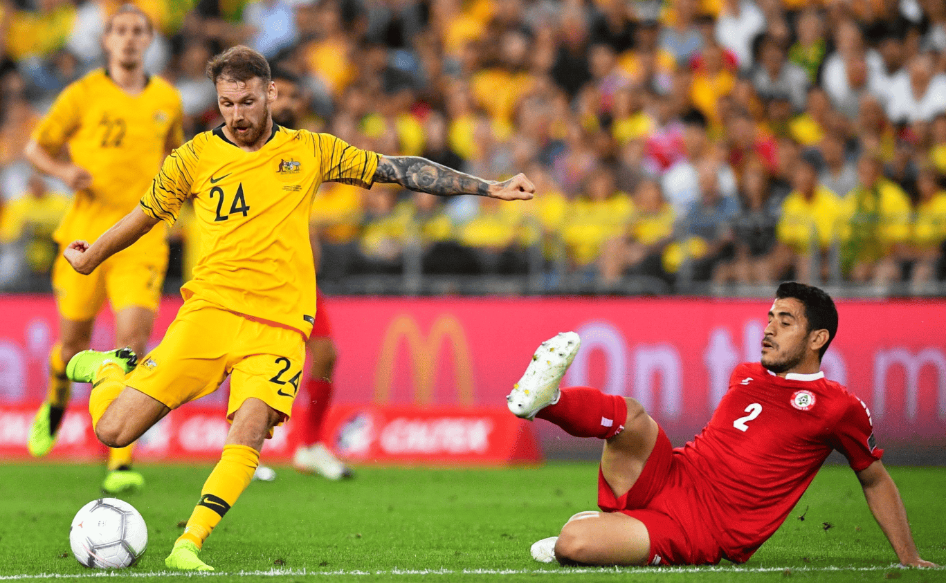 现出极高的 现出极高的